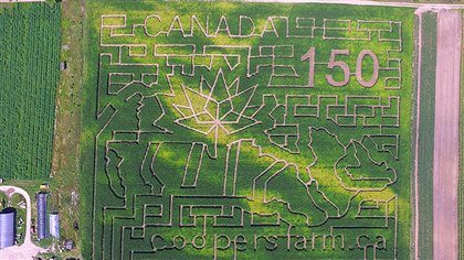 Coopers Farm Canada 150 Corn Maze