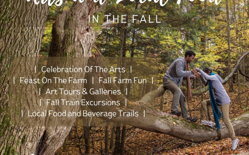 Arts and Local Food in the Fall