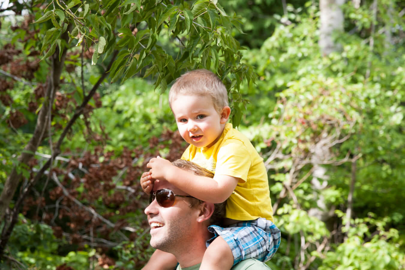 Young boy on Dad's shoulders on forest trail