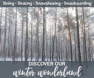 Discover our Winter Wonderland